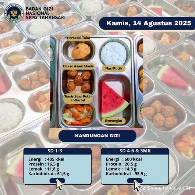 Program Makan Bergizi Gratis 4