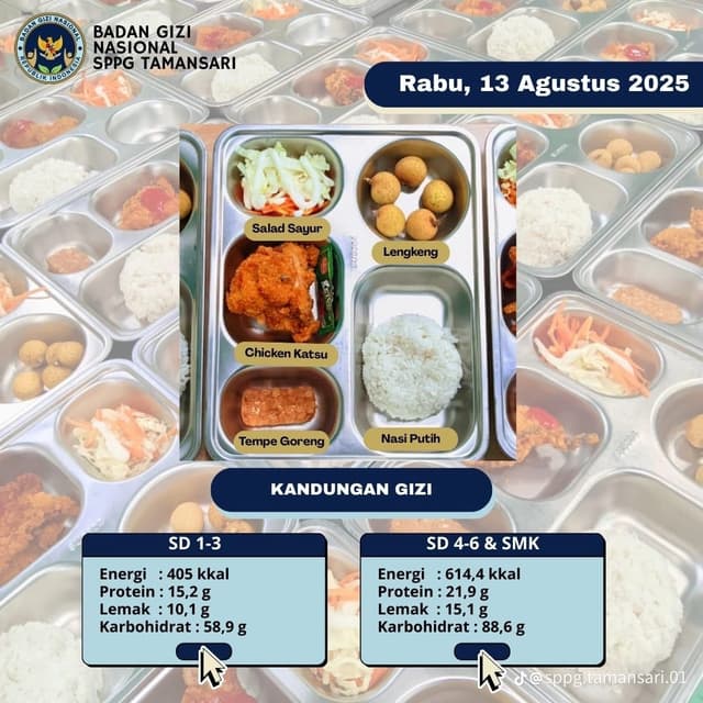 Program Makan Bergizi Gratis 5